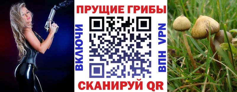 Купить закладки  Елабуга  Псилоцибиновые грибы прущие грибы 