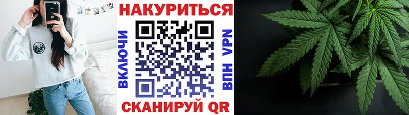 Шишки марихуана планчик  Купить закладки  Елабуга 